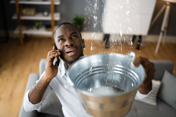 Best Water damage contractors near me  in Aventura, FL