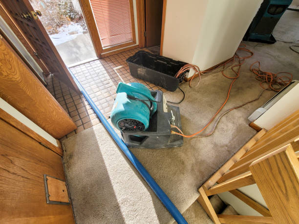 Sewage cleanup and water damage restoration in Aventura, FL