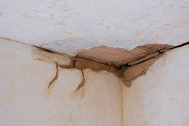 Best Water damage restoration near me  in Aventura, FL