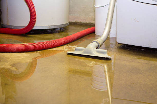 Best Carpet water damage restoration  in Aventura, FL