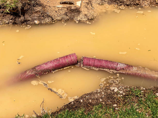 Best Water damage cleanup near me  in Aventura, FL