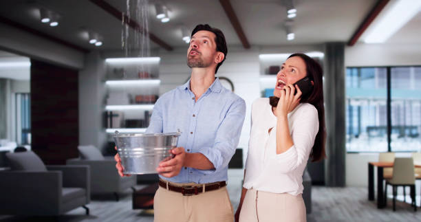 Best Water damage restoration near me  in Aventura, FL